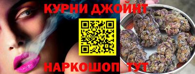 стаф Берёзовский