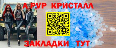 стаф Берёзовский