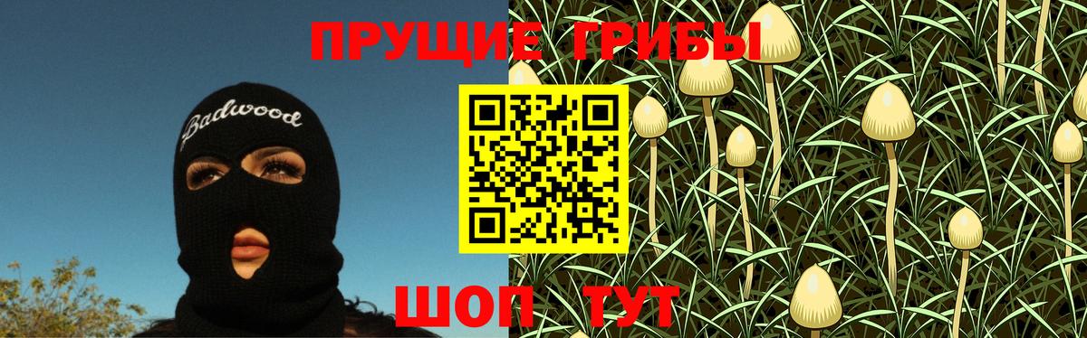 Псилоцибиновые грибы Cubensis Карачаевск