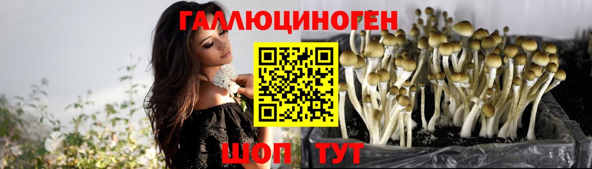 Карачаевск  Галлюциногенные грибы мухоморы  Вход с VPN 